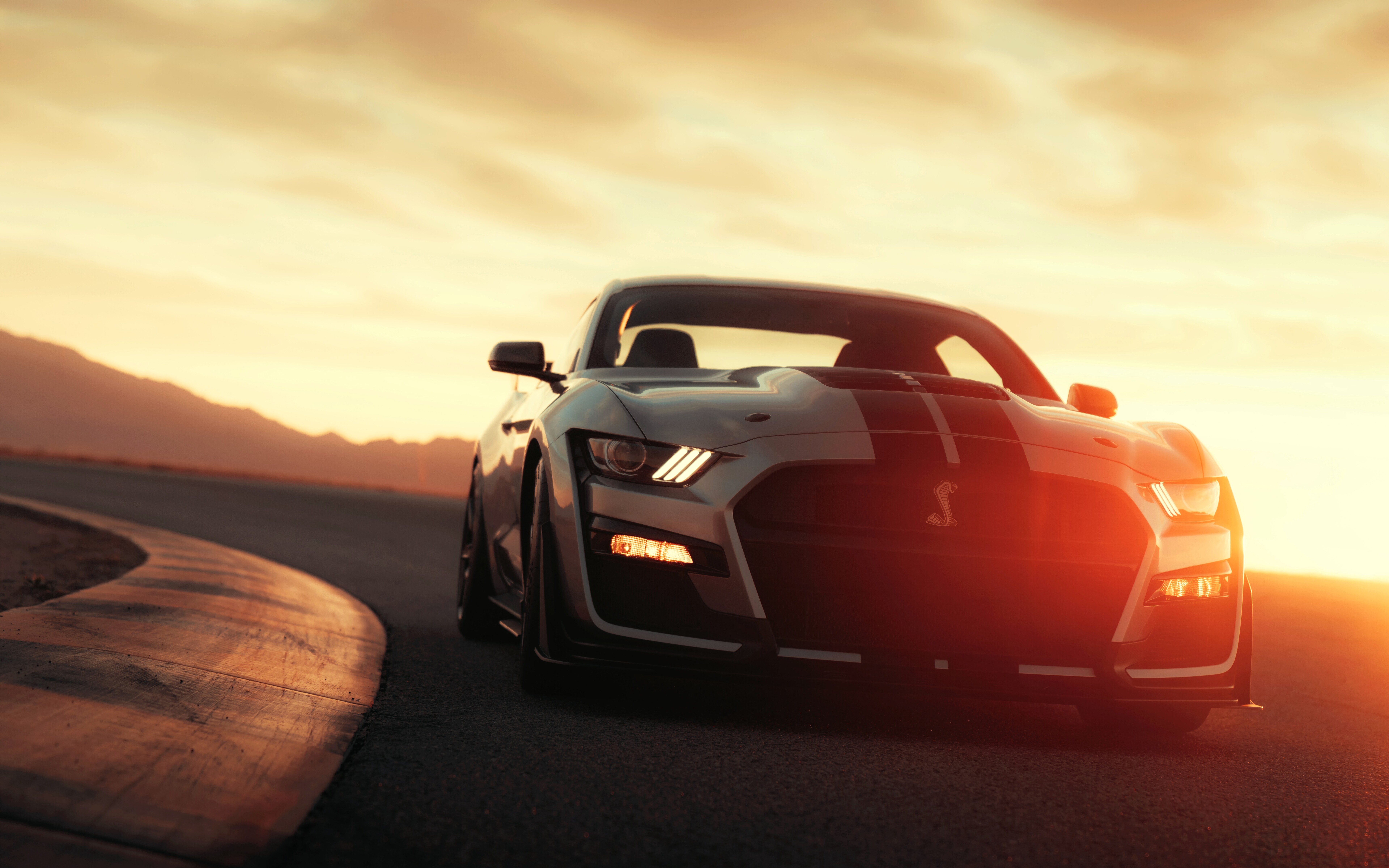 Une élégante Ford Mustang Shelby GT500 argentée, une voiture de sport puissante, est garée.